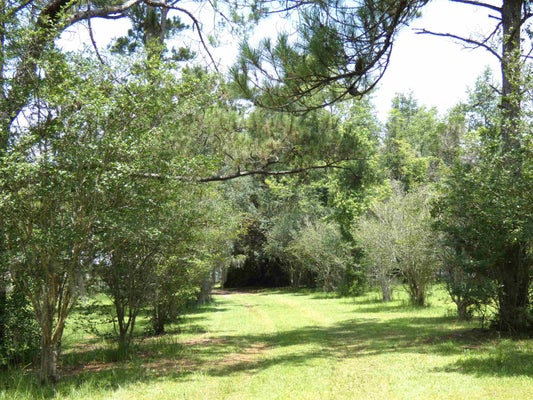 916 W J HATCHETT RD, LAMONT, FL 32336 - Image 08c0dcfbacb3a257f6024b67f5601a6f/888934680