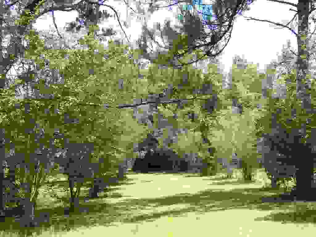 Photo of 790 WJ Hatchett Road, Lamont, FL 32336 (MLS # 400733)