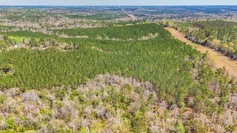 Tiny photo for 0 Lincoln Drive, Chattahoochee, FL 32324 (MLS # 397905)