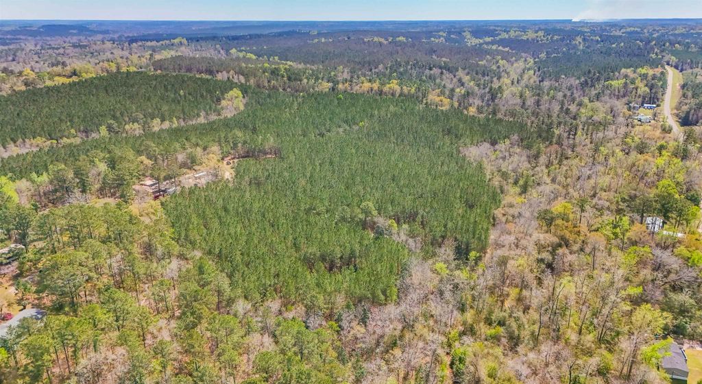 Photo of 0 Lincoln Drive, Chattahoochee, FL 32324 (MLS # 397905)