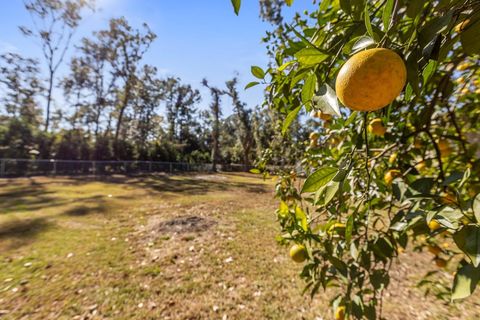 Tiny photo for 8323 Summerdale Lane, Tallahassee, FL 32311 (MLS # 393395)