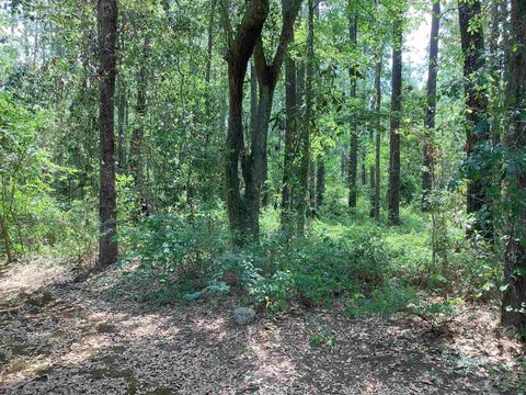 Tiny photo for 254 Woodland Drive, Monticello, FL 32344 (MLS # 399265)