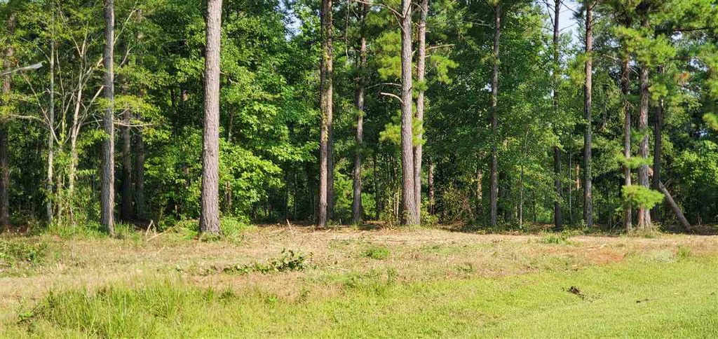 Photo of Lot 12 Block A Mountain View Way, Other Georgia, GA 39819 (MLS # 399879)