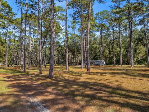 Tiny photo for 11350 Granny Lane, Tallahassee, FL 32305 (MLS # 387815)