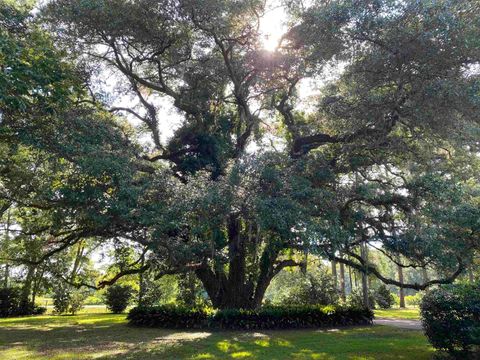 Tiny photo for 3371 Baum Road, Tallahassee, FL 32317 (MLS # 388404)