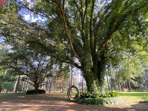 Tiny photo for 3371 Baum Road, Tallahassee, FL 32317 (MLS # 388404)