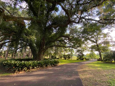 Tiny photo for 3371 Baum Road, Tallahassee, FL 32317 (MLS # 388404)
