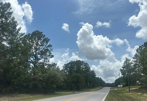 Tiny photo for 3849 W Hampshire Boulevard, Other Florida, FL 34433 (MLS # 401905)