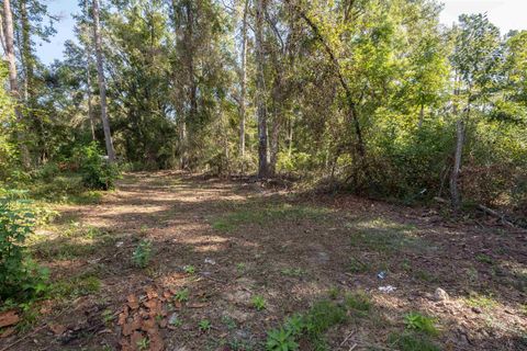 Tiny photo for 10412 Roger Hamlin Road, Tallahassee, FL 32311 (MLS # 391800)