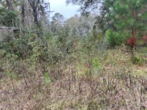 Tiny photo for 0 Moccasin Gap, Tallahassee, FL 32309 (MLS # 393441)