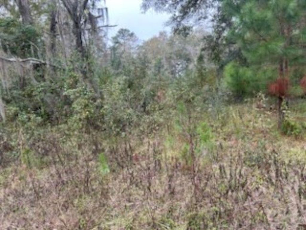 Photo of 0 Moccasin Gap, Tallahassee, FL 32309 (MLS # 393441)