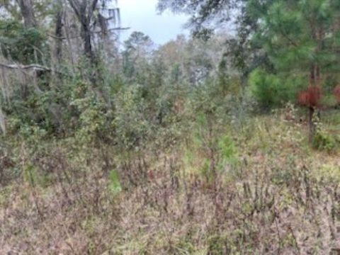 Tiny photo for 0 Moccasin Gap, Tallahassee, FL 32309 (MLS # 393441)