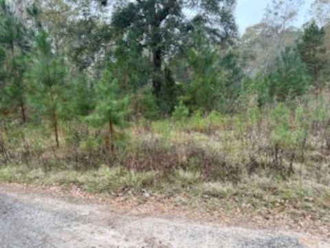 Tiny photo for 0 Moccasin Gap, Tallahassee, FL 32309 (MLS # 393441)