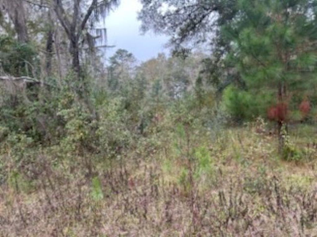Photo of 0 Moccasin Gap, Tallahassee, FL 32309 (MLS # 393441)