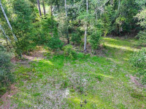 Photo of 4546 NW 24th Avenue, Jasper, FL 32052 (MLS # 402901)