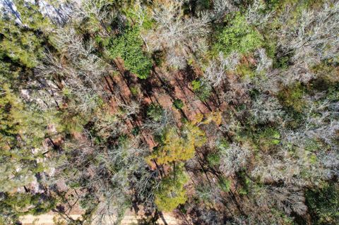 Tiny photo for XX Keerns Drive, Crawfordville, FL 32327 (MLS # 396985)