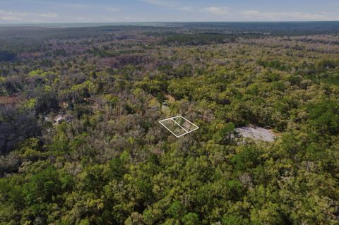 Tiny photo for XX Keerns Drive, Crawfordville, FL 32327 (MLS # 396985)