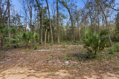 Tiny photo for XX Keerns Drive, Crawfordville, FL 32327 (MLS # 396985)