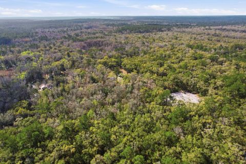 Tiny photo for XX Keerns Drive, Crawfordville, FL 32327 (MLS # 396985)