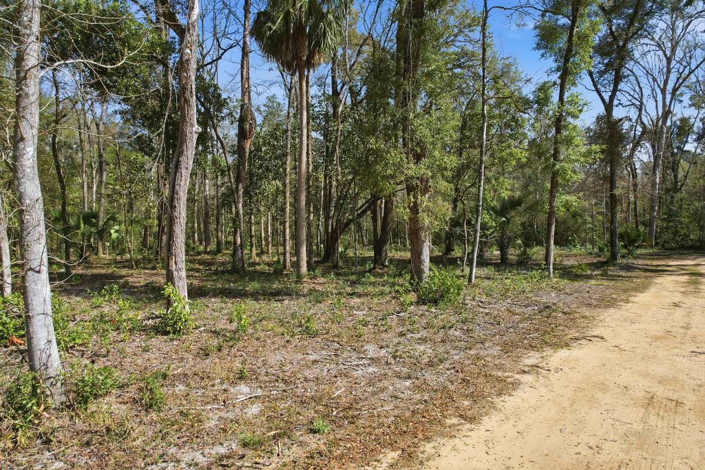 Photo of XX Keerns Drive, Crawfordville, FL 32327 (MLS # 396985)