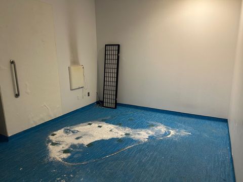 Tiny photo for 227 E PALMER AVE Avenue, Tallahassee, FL 32301 (MLS # 388571)
