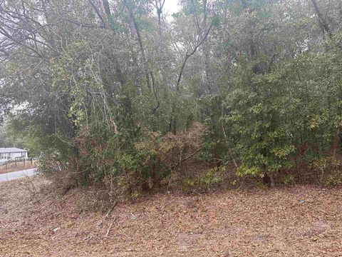 Tiny photo for Lot 1 Luther Hall Road, Tallahassee, FL 32310 (MLS # 368259)