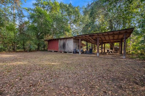 Tiny photo for 2409 Surrey Street, Tallahassee, FL 32304 (MLS # 394001)
