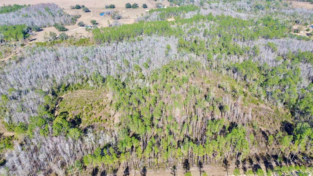 Photo of Vacant SW Open Sands Loop, Greenville, FL 32331 (MLS # 395145)