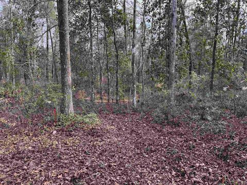Tiny photo for Jomaureen Way, Tallahassee, FL 32309 (MLS # 389362)