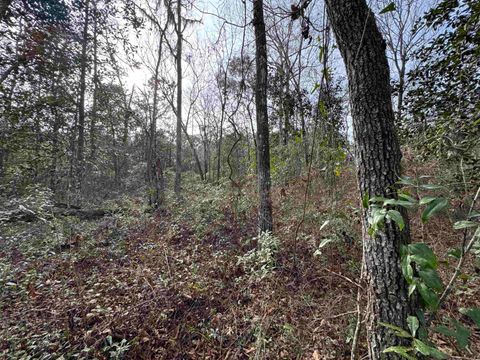Tiny photo for Jomaureen Way, Tallahassee, FL 32309 (MLS # 389362)