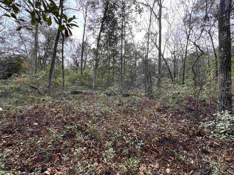 Tiny photo for Jomaureen Way, Tallahassee, FL 32309 (MLS # 389362)