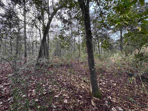 Tiny photo for Jomaureen Way, Tallahassee, FL 32309 (MLS # 389362)