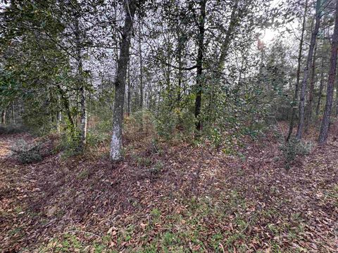 Tiny photo for Jomaureen Way, Tallahassee, FL 32309 (MLS # 389362)