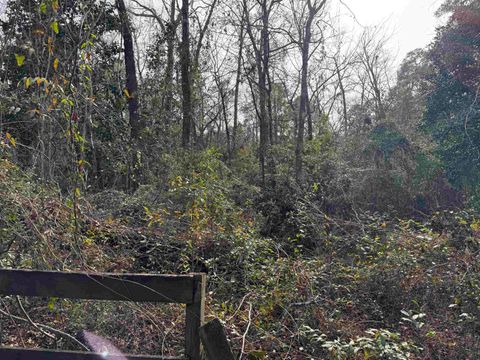 Tiny photo for Jomaureen Way, Tallahassee, FL 32309 (MLS # 389362)