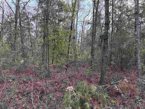 Tiny photo for Jomaureen Way, Tallahassee, FL 32309 (MLS # 389362)