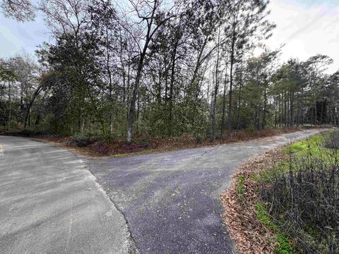 Tiny photo for Jomaureen Way, Tallahassee, FL 32309 (MLS # 389362)