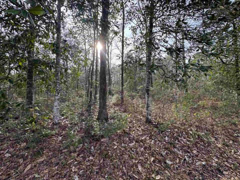 Tiny photo for Jomaureen Way, Tallahassee, FL 32309 (MLS # 389362)