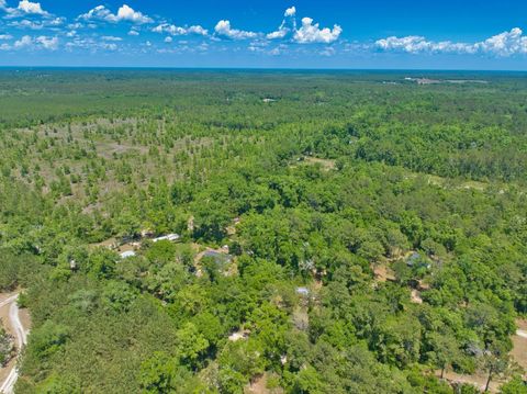0 Donaldson Williams Road Crawfordville FL 32327
