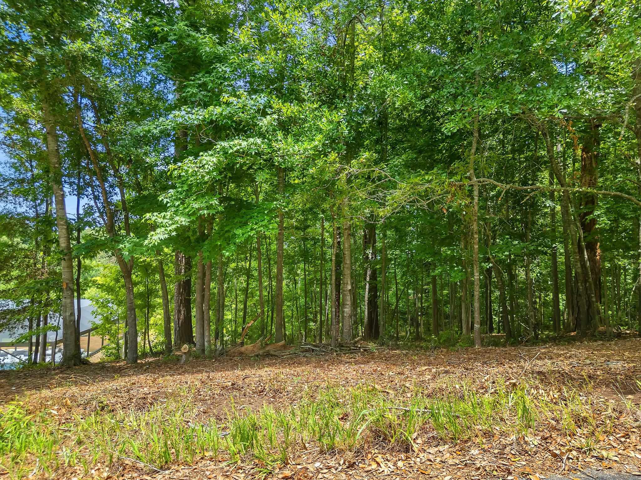 Heritage Ridge Road II
