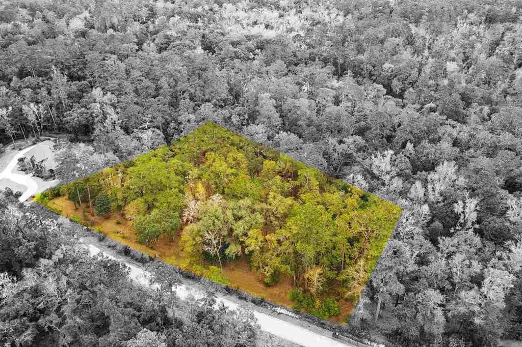 Photo of Lot 13 Phipps Point Road, Tallahassee, FL 32309 (MLS # 394246)