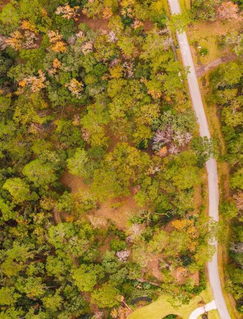 Tiny photo for Lot 13 Phipps Point Road, Tallahassee, FL 32309 (MLS # 394246)