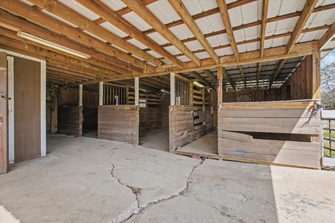 Tiny photo for 4699 Shady Rest Road, Havana, FL 32333 (MLS # 396987)