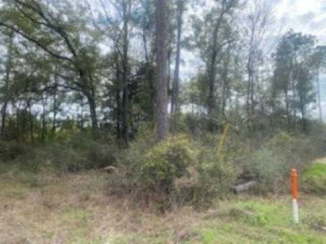 xxxx Crawfordville Highway