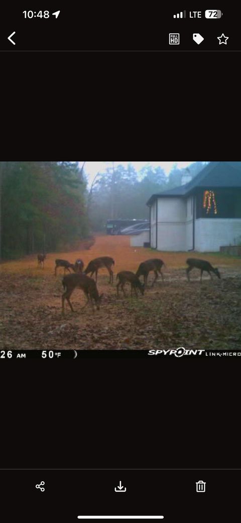 Tiny photo for 7083 Grenville Road, Tallahassee, FL 32309 (MLS # 390591)