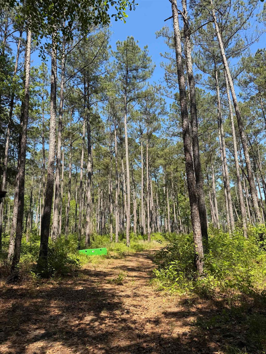 Photo of 2690 Hardaway Road, Chattahoochee, FL 32324 (MLS # 399875)
