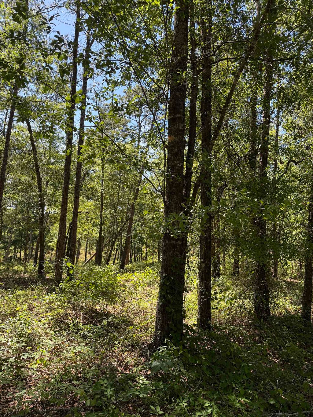Photo of 2690 Hardaway Road, Chattahoochee, FL 32324 (MLS # 399875)