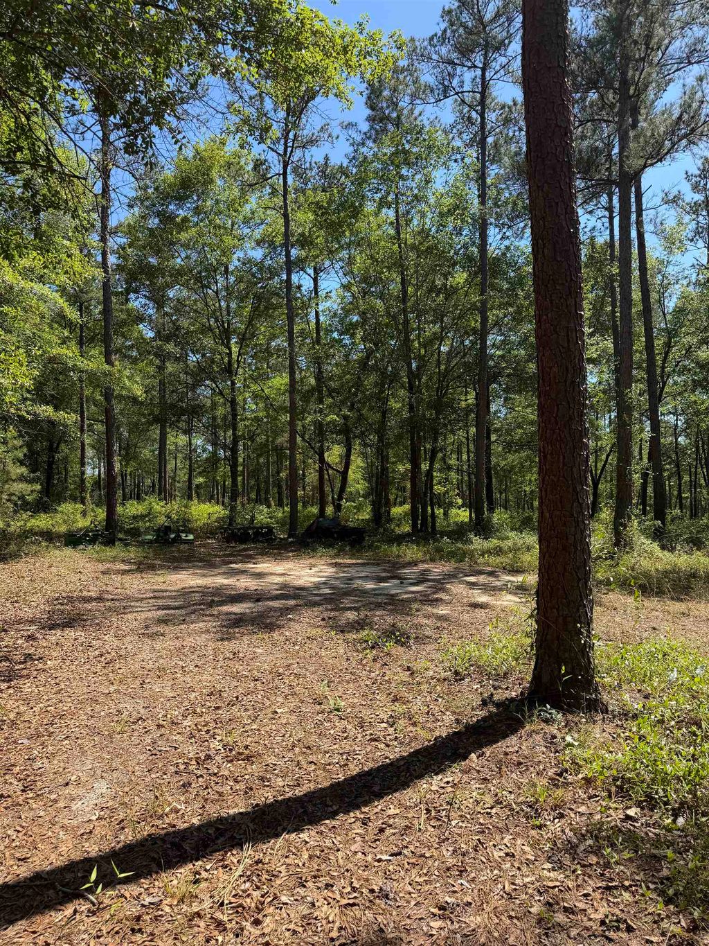 Photo of 2690 Hardaway Road, Chattahoochee, FL 32324 (MLS # 399875)