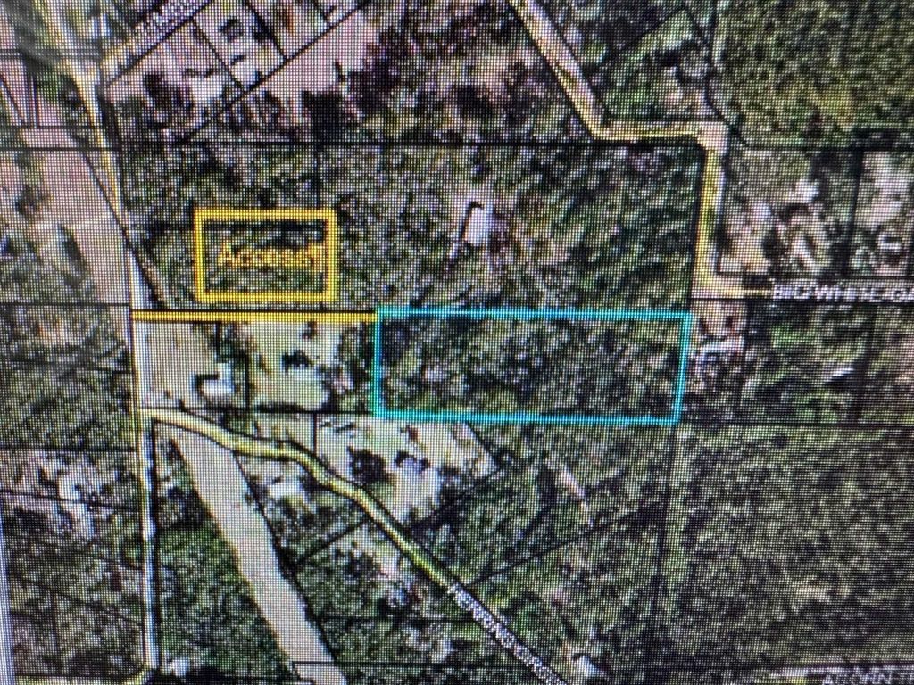 Photo of XXX Mt Zion Road, Crawfordville, FL 32327 (MLS # 396392)