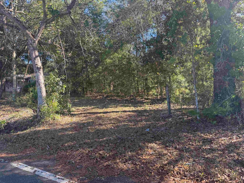 Photo of 290 Schwall Road, Havana, FL 32333 (MLS # 394068)