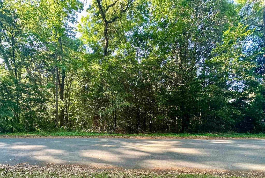 Photo of 104 Engwall Circle, Gadsden, FL 32333 (MLS # 398760)